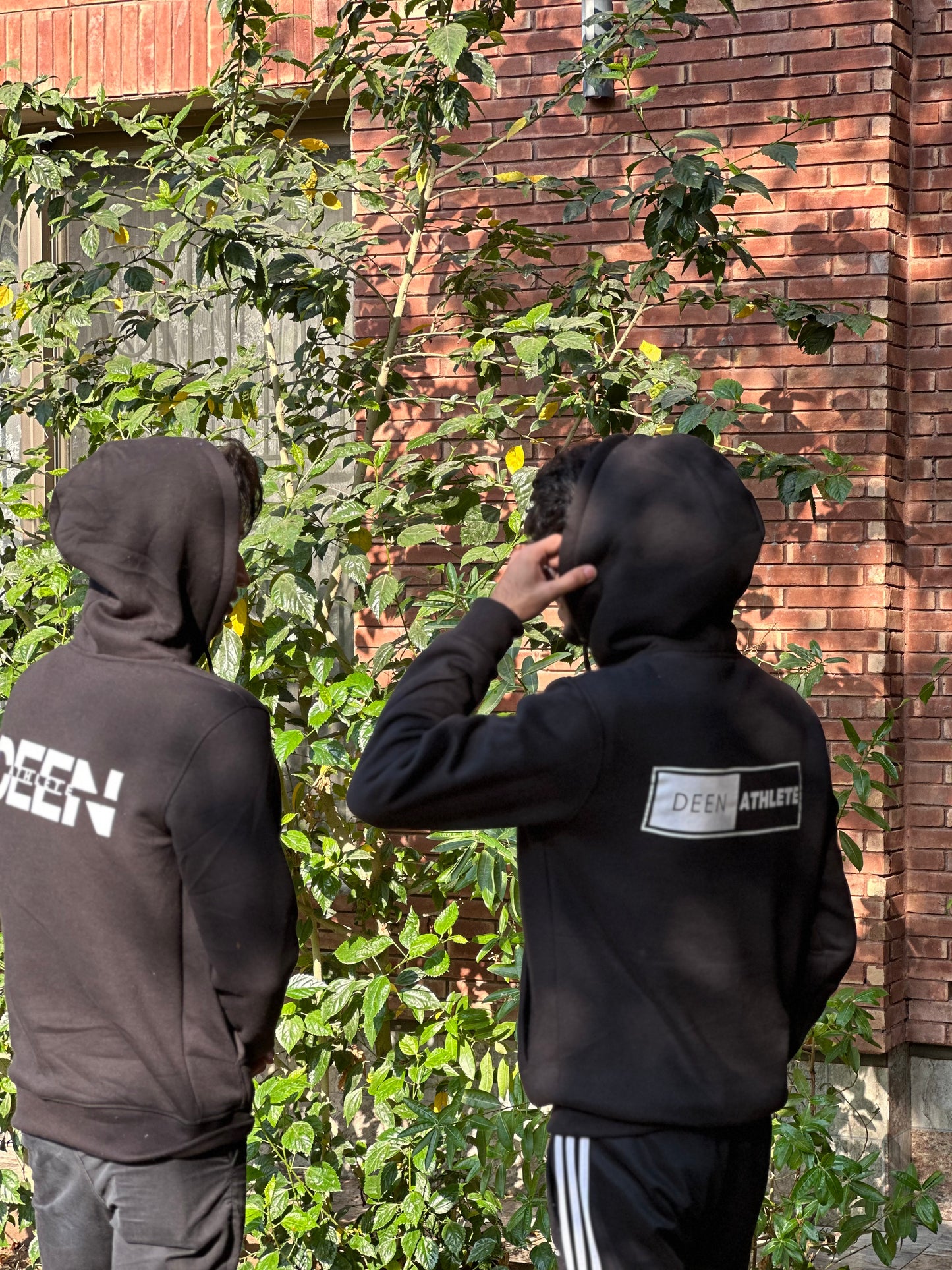 Hoodies Bundle